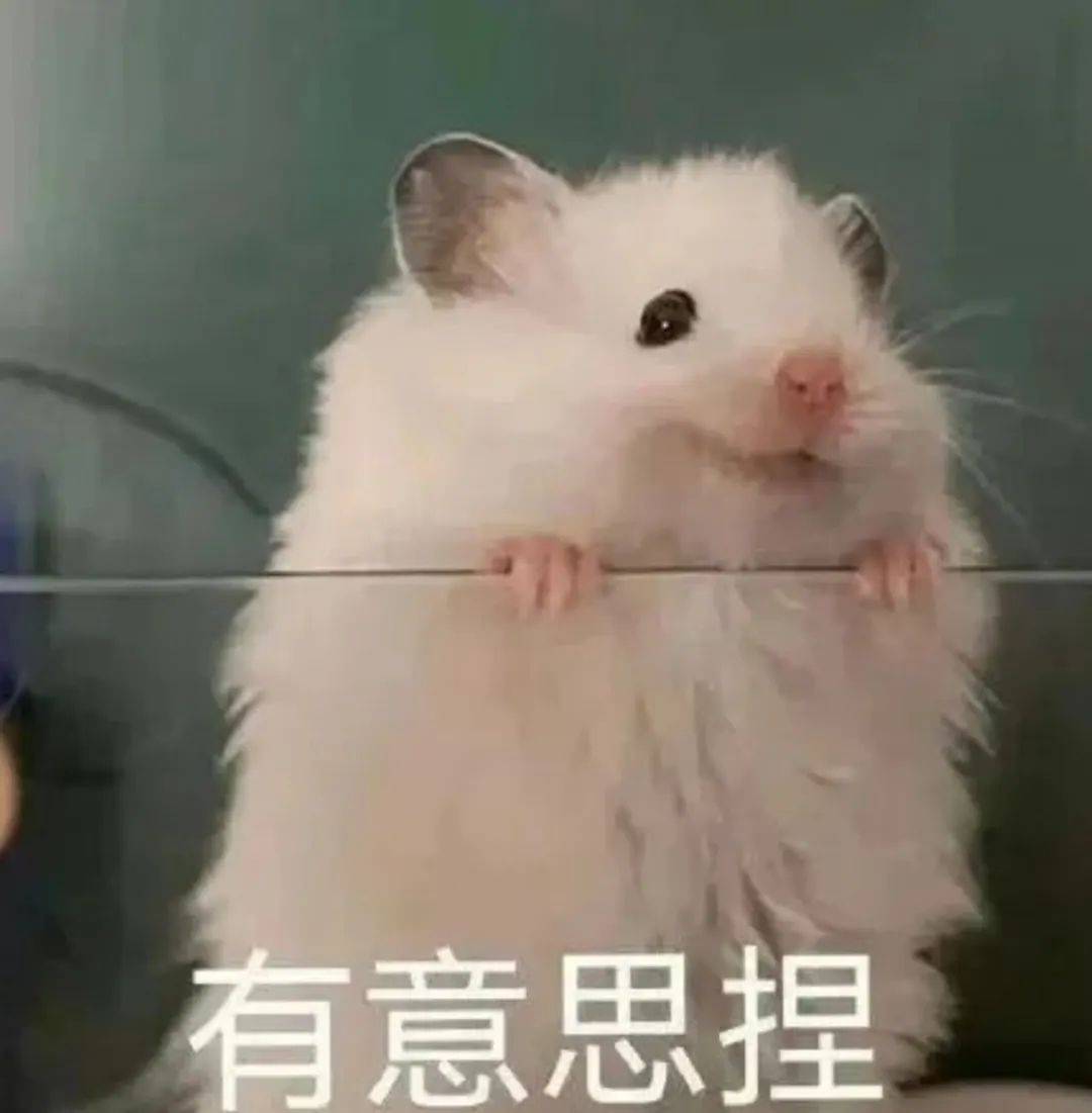 川渝大学的课还是太超前了上热搜网友不信因为我没上过