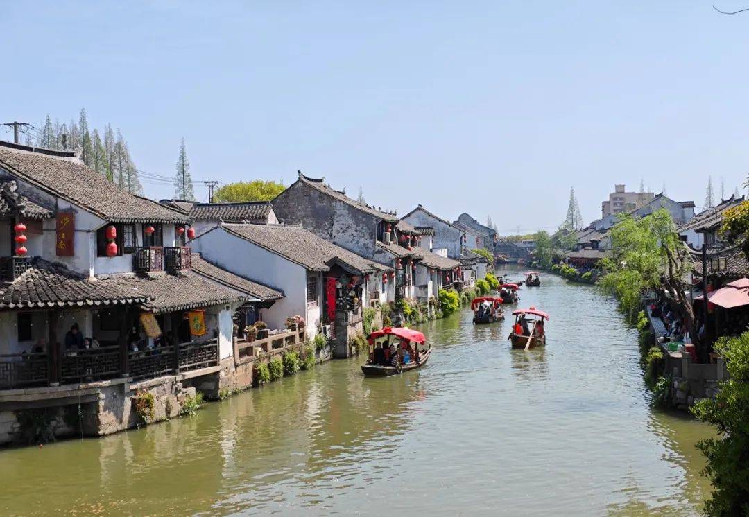 清明假期人潮涌动 枫泾古镇迎来春节后第一波旅游高峰