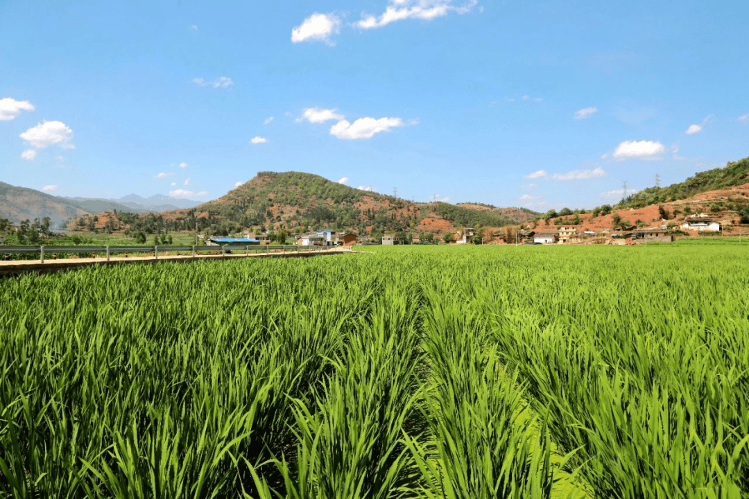 走进大凉山会理