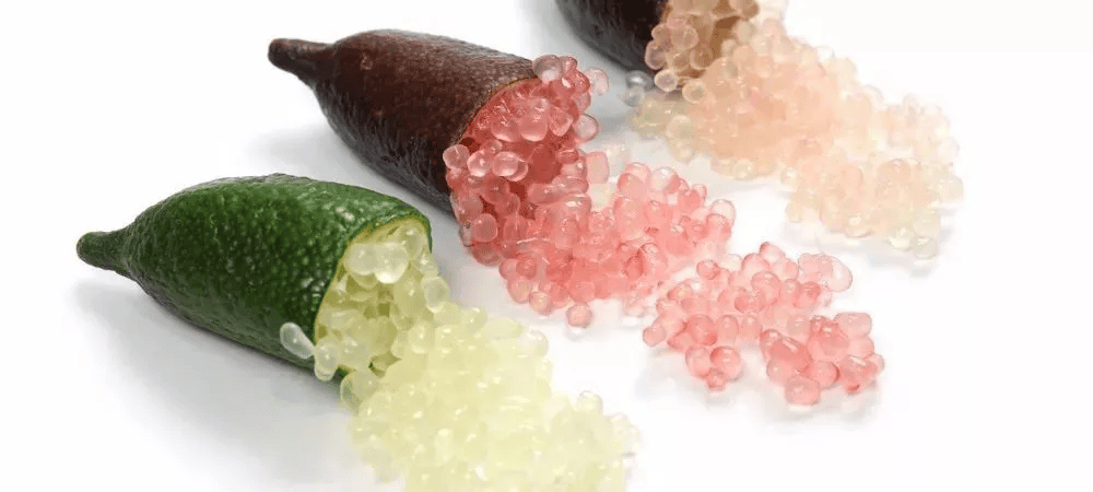 手指柠檬怎么吃好水果中的鱼子酱经济价值高其实自家就能种好