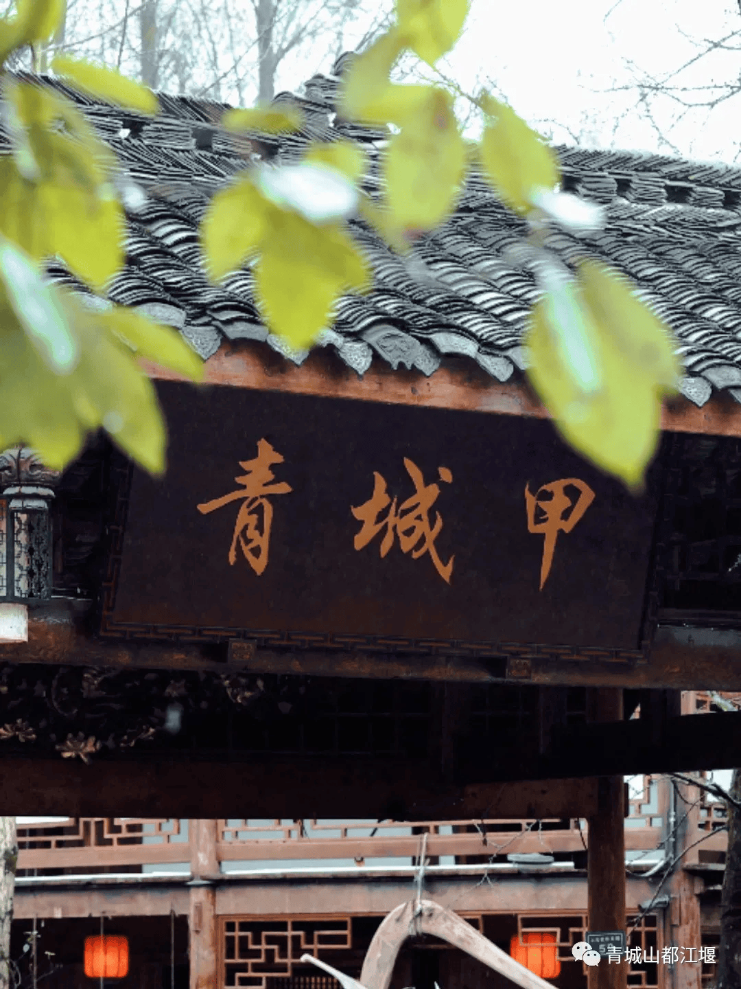 九游会J9 J9九游会清明假期来都江堰吃什么？小编带你解锁超地道美食赶紧安排上(图4)