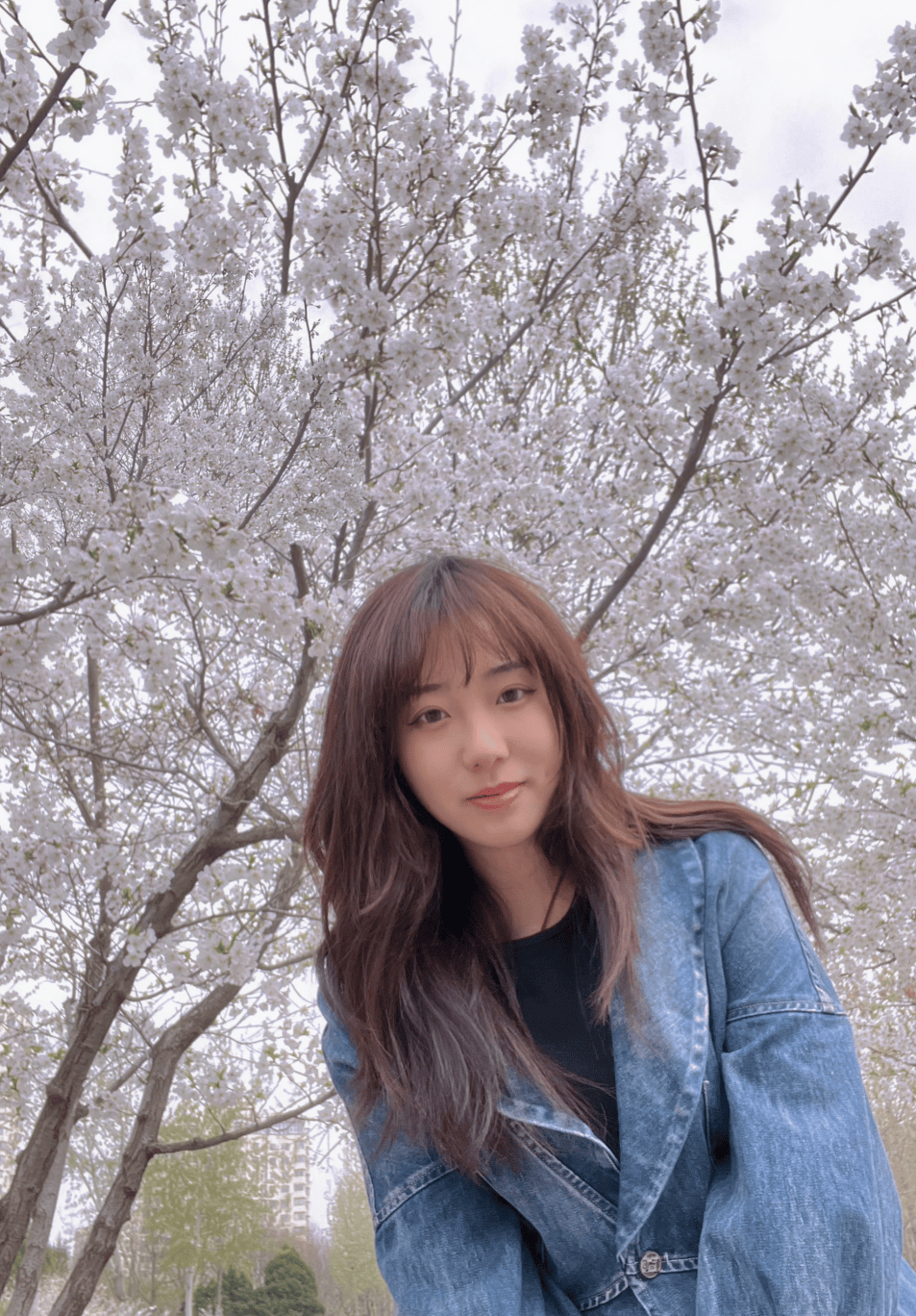 聚焦11名同学疾呼此物碰不得