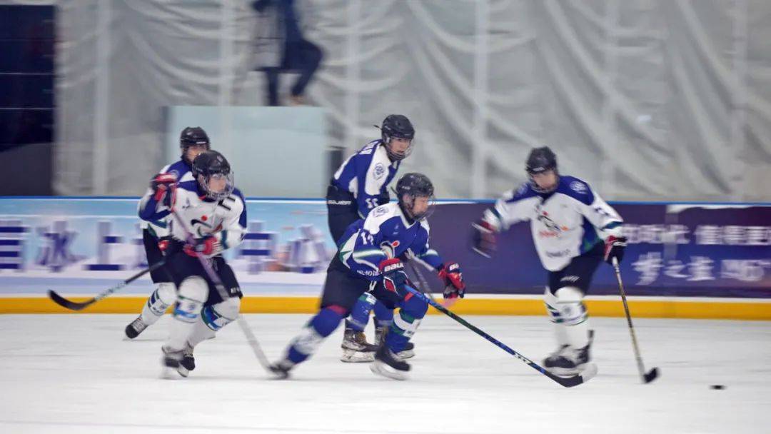 祝贺黑河市女子冰球队省赛上喜摘铜牌