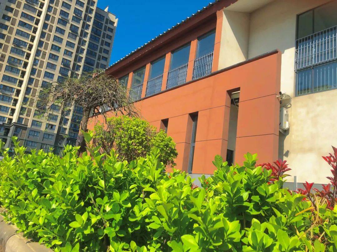 光影流年丨齐河校园春满园四