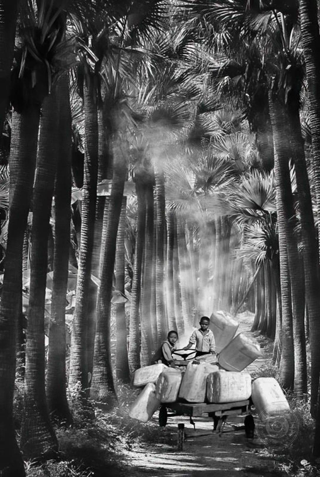 ccpa最佳氛围:《小司机》08christina tam(中国香港)▲ ccpa最佳