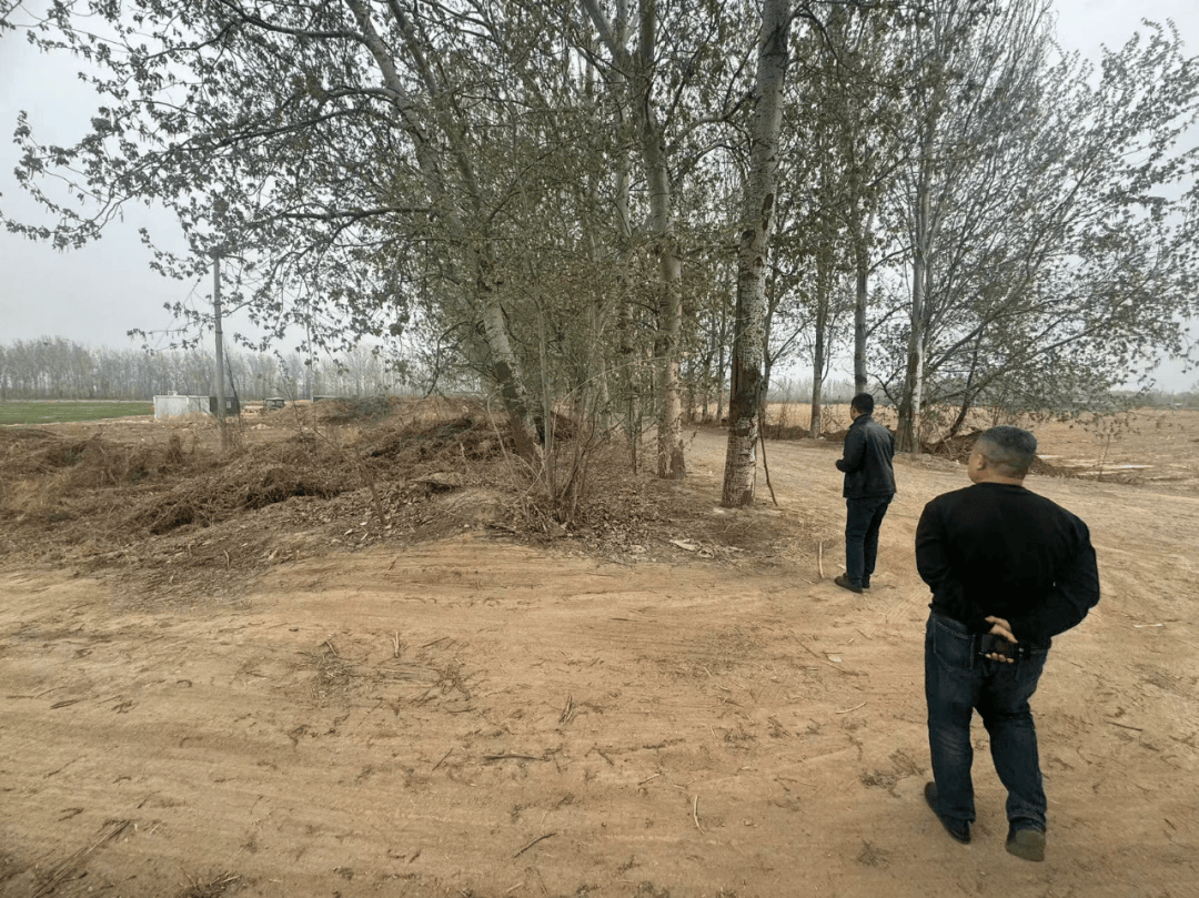 严管严控野外祭祀用火廊坊市实现清明节森林草原火情零发生