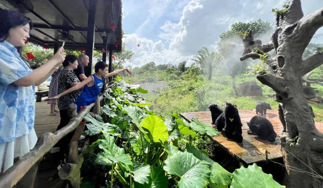 冯塘绿园以火山古村乐游为主题,开展围炉煮茶,萌宠互动,美食套餐等