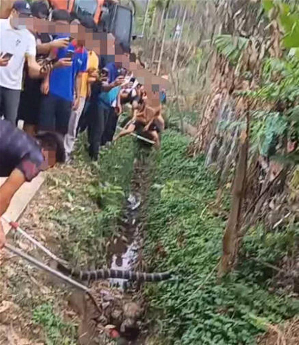 陵水一村民被蛇咬伤致死，有人怀疑蛇是人为放生，林业部门和警方介入调查_来源_制服_合力