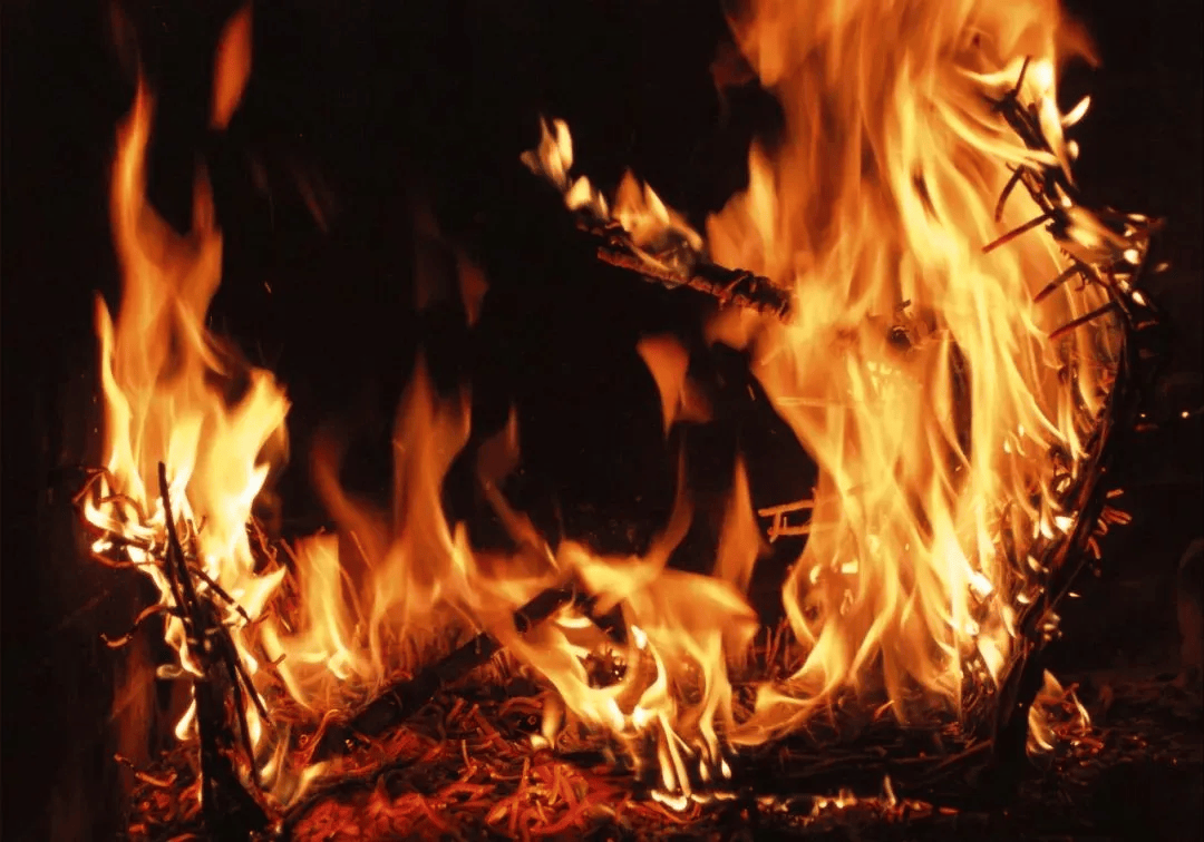 森林防火,人人有责_火灾_危害_自然灾害