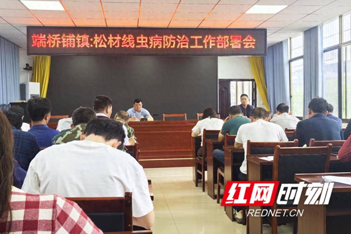 东安县端桥铺镇扎实开展松材线虫病疫木排查清理行动
