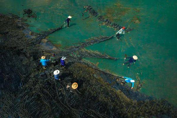 辛映红  福州《石潭春色》陈巧英  泉州《巡香祈愿,添丁发财》 苏玉霞