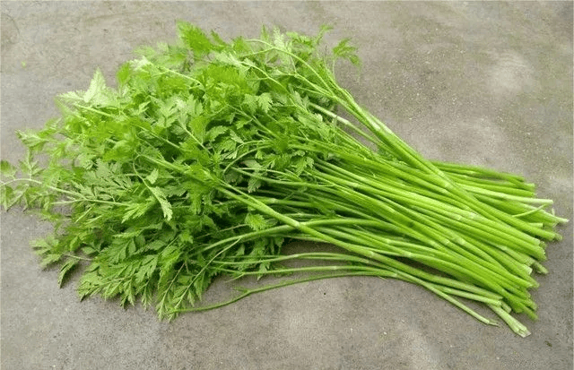 春季限定菜但吃之前一定要