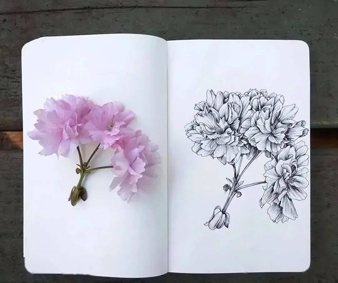 我长了一双扫描眼,还有一双复制手_动态_头像_画法