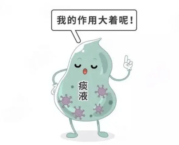 【养生】——白痰、绿痰、黄痰、黑痰分别代表了什么？_疾病_止咳_肺部