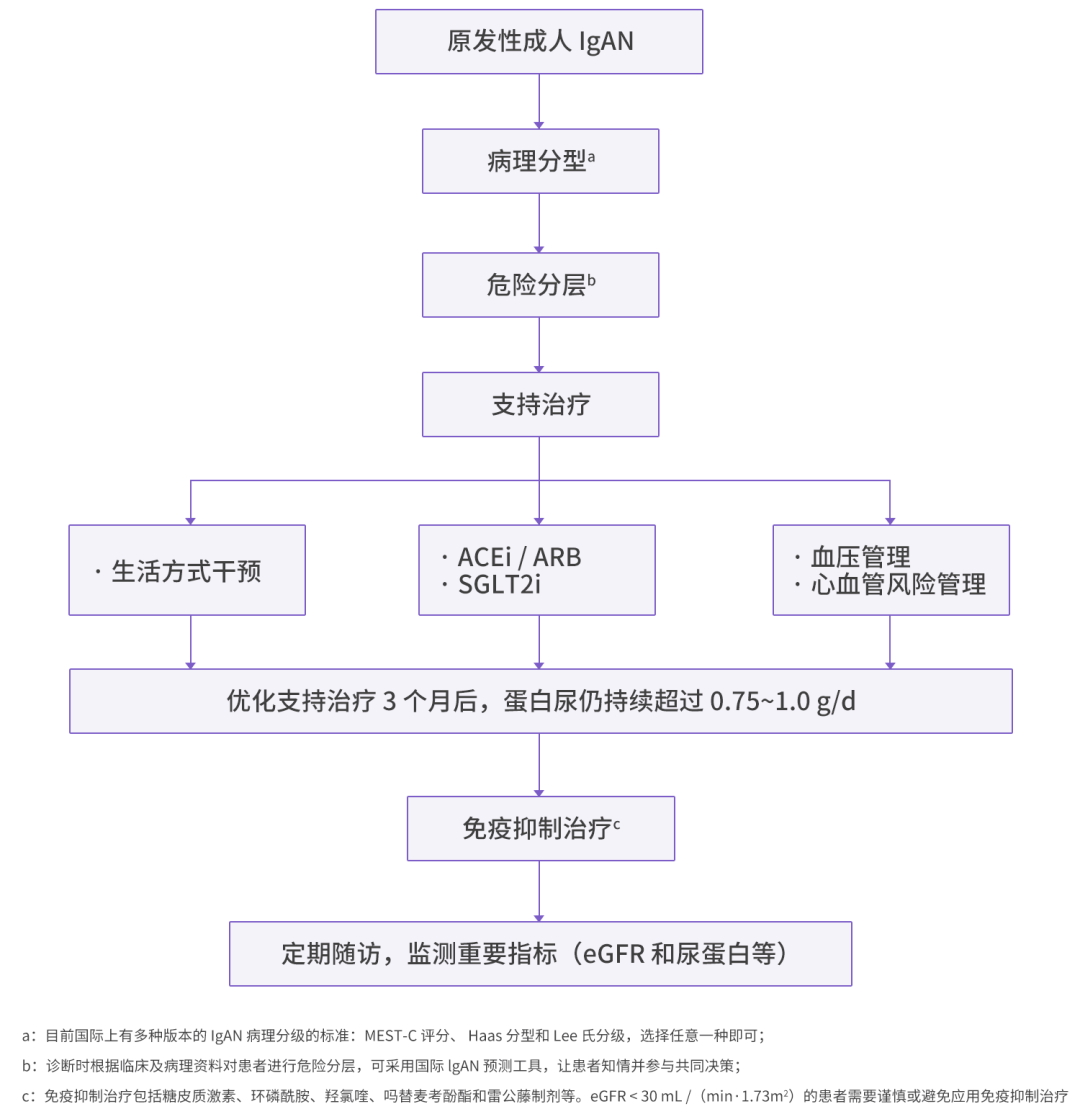 最新中国专家共识发布 详解 iga 肾病治疗格局变化