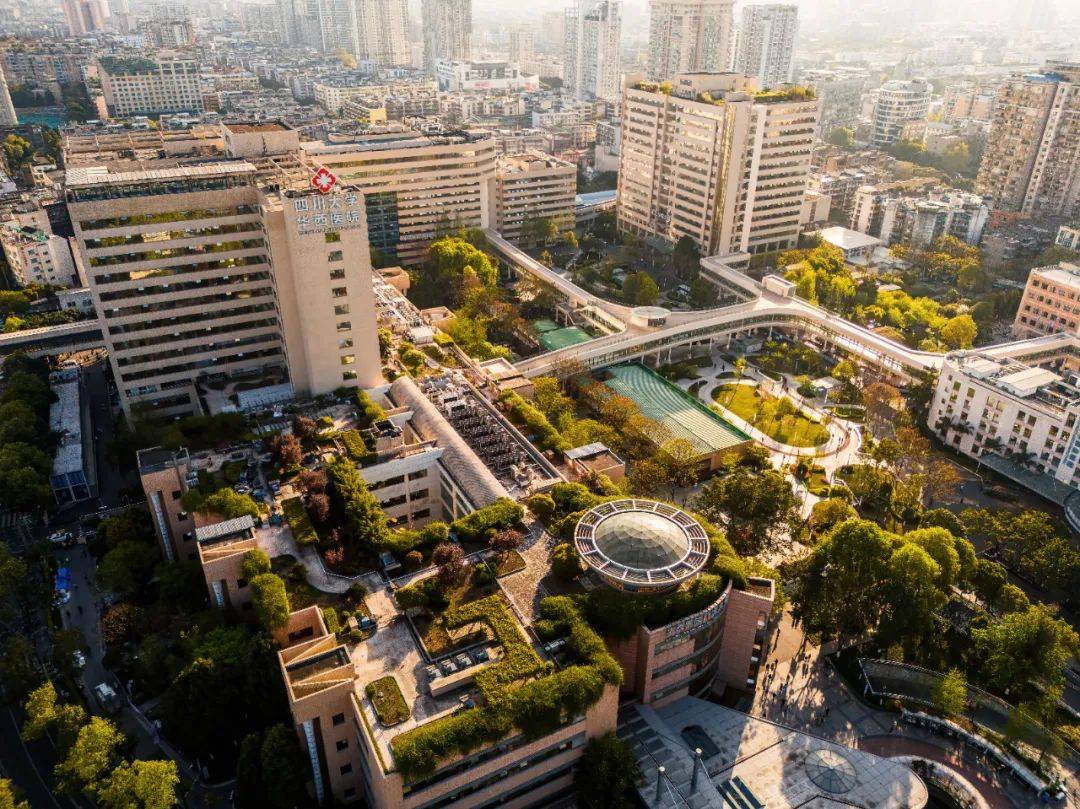 四川大学华西医院:综合医院应承担好肿瘤中心建设的责任