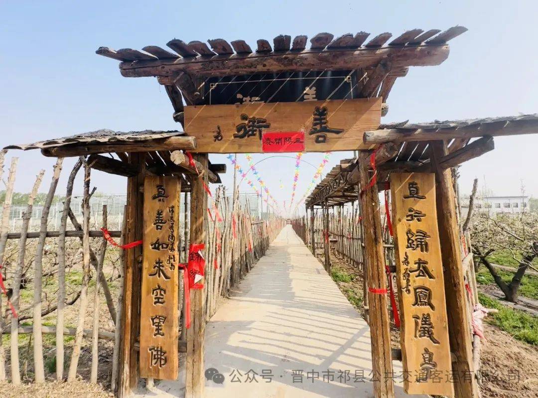 [线路开通] 四月春光好 又见梨花开!修善村梨花苑专线开通啦