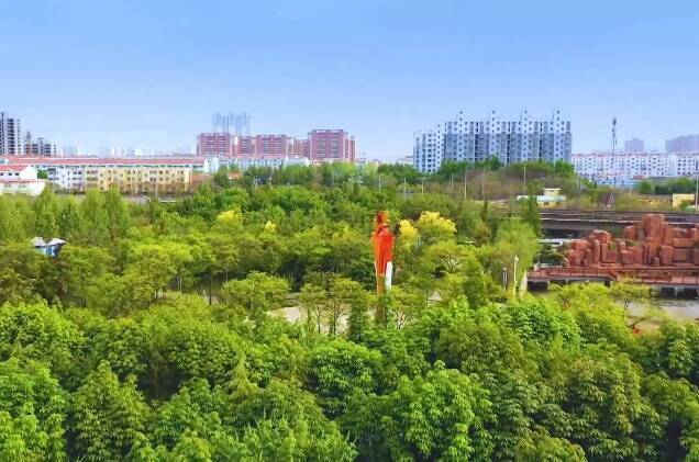 潍坊高密市林业行业全产业链获得fsc森林认证_木材__