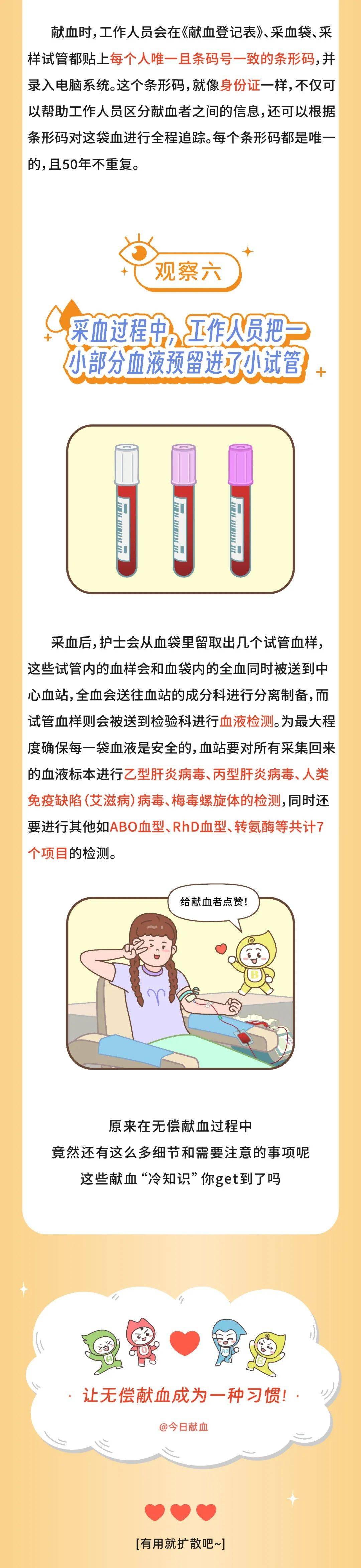 献血的条件和标准图片