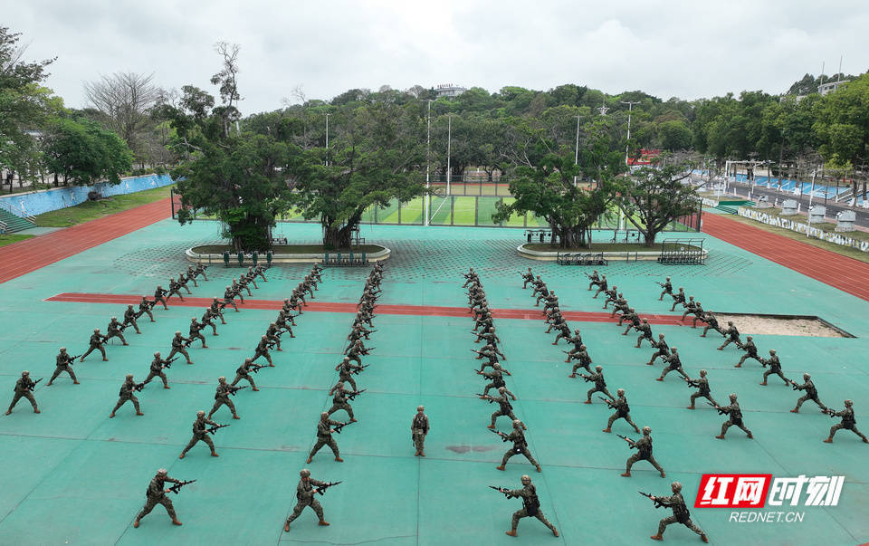 铸魂兵之初 先上血性课——南部战区海军某训练基地见闻