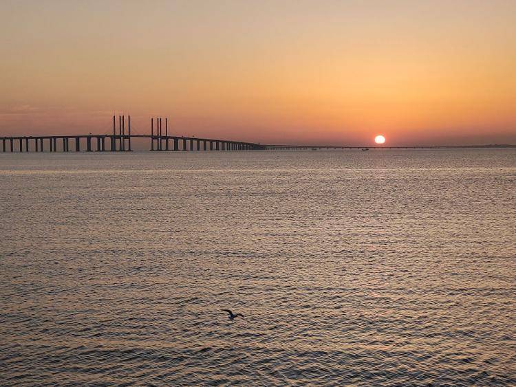 每逢假期人从众青岛为何这么火