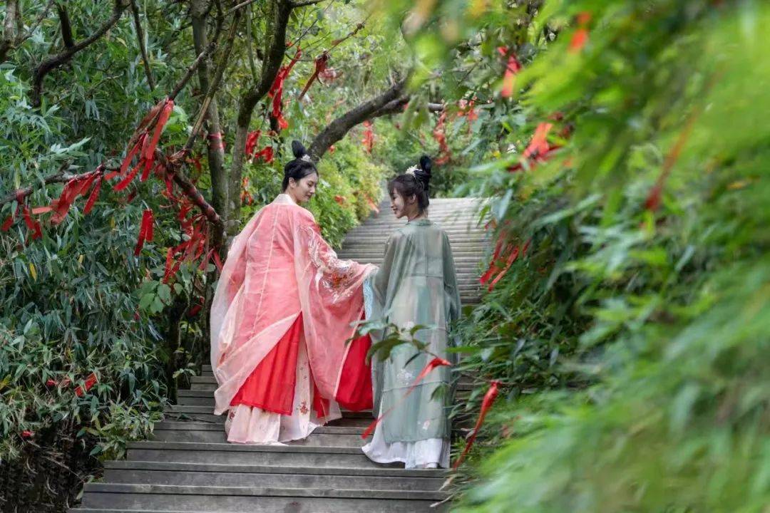 镇坪"杜鹃花节"来了!除了花海,还有……_活动_内容_镇坪县