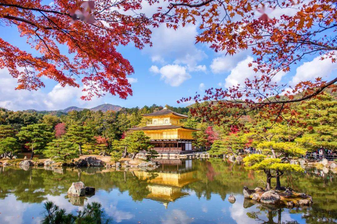 去了趟日本,感觉已经挤爆了_外国游客_笔者_奈良