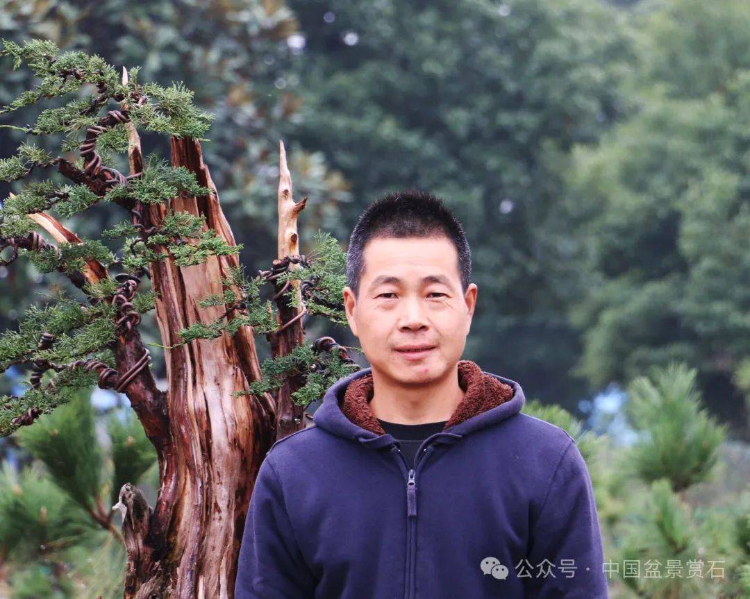 高手云集安徽省第五届盆景奇石精品展制作表演嘉宾阵容先睹为快