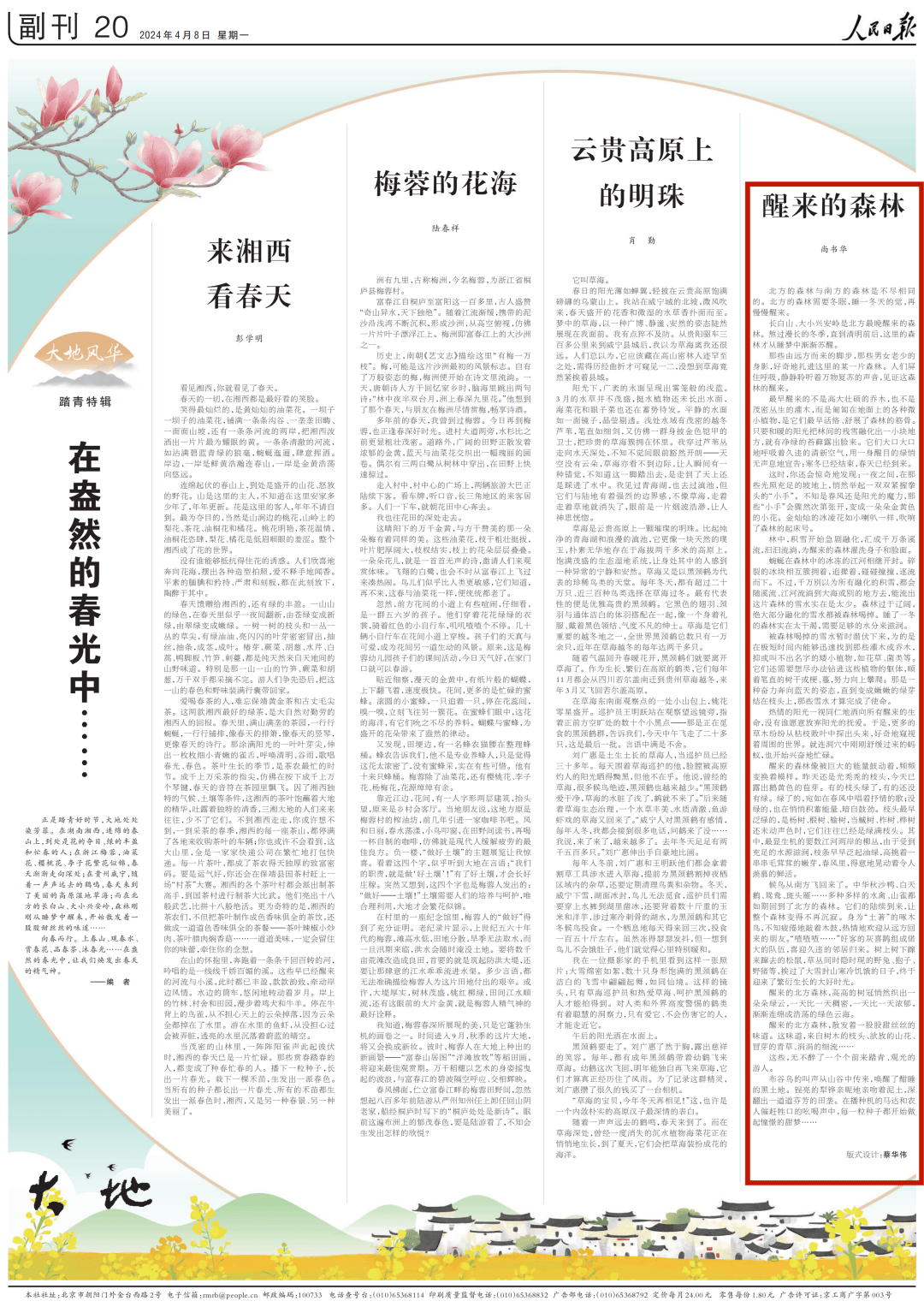 人民日报副刊:醒来的森林_枝头_阳光_雪水