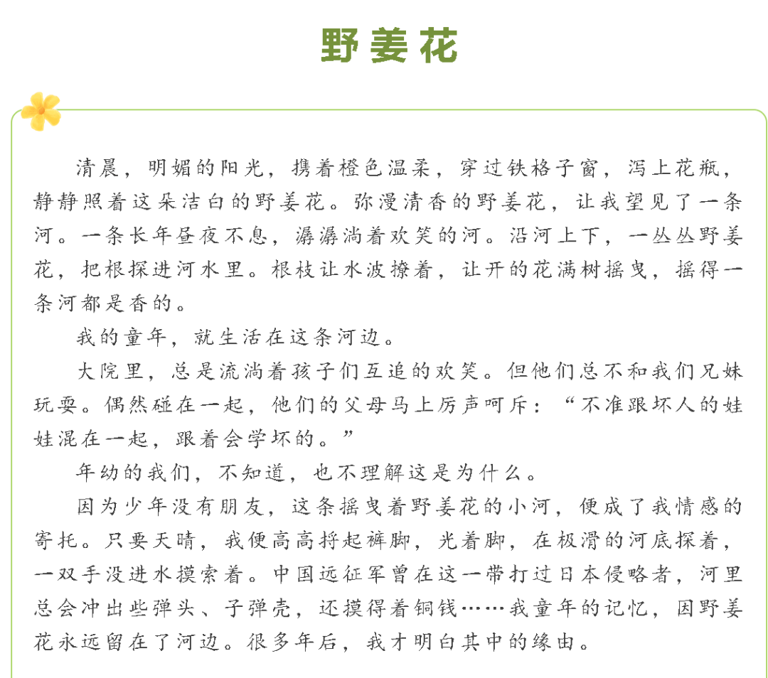 fm1043走进乡愁丨野姜花