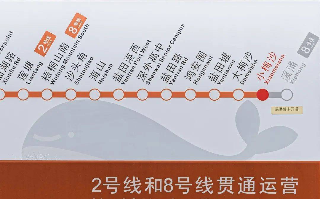 盐田地铁8号线线路图图片