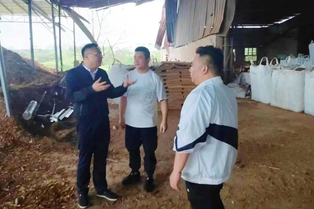在外人才六个一清明节篇浓浓家乡情全市各地积极开展