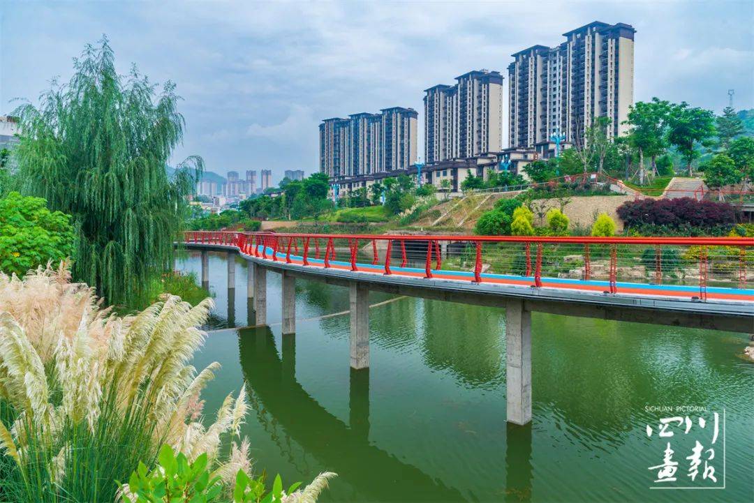 画卷天府·百花迎春|春到盐边 听见花开的声音_攀枝花市_杜鹃花