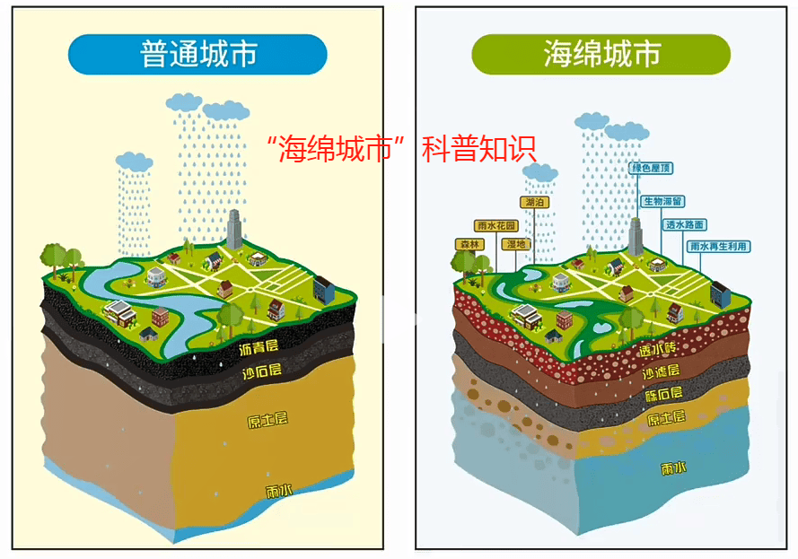 我们的主持人,讲解员都会随机就"海绵城市"进行提问!