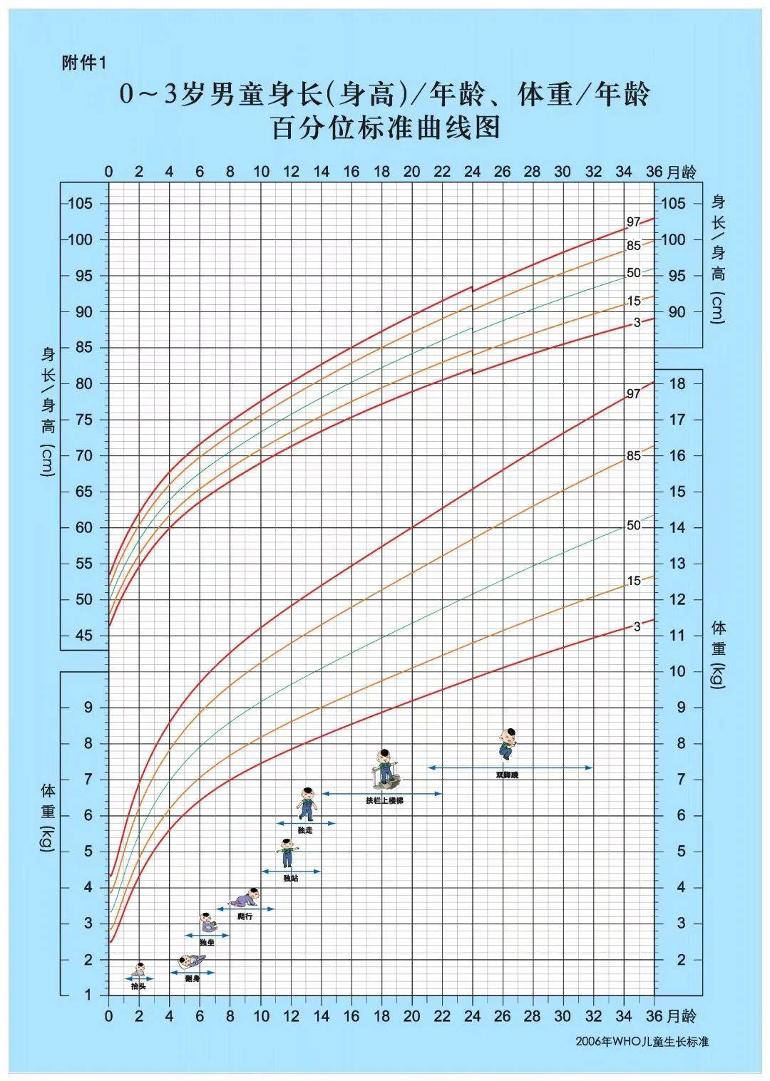 《3岁以下婴幼儿健康养育照护指南》中的0～3岁儿童生长发育监测图(见