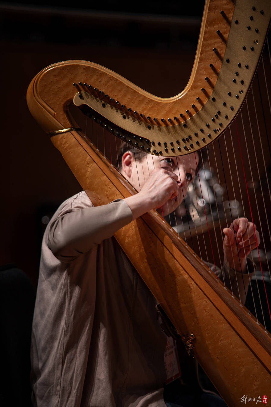 韦恩马歇尔率维也纳名团访沪激活钢琴管风琴演奏技能征服观众