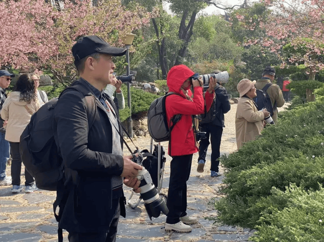 传播量超3200万东湖为什么这么火