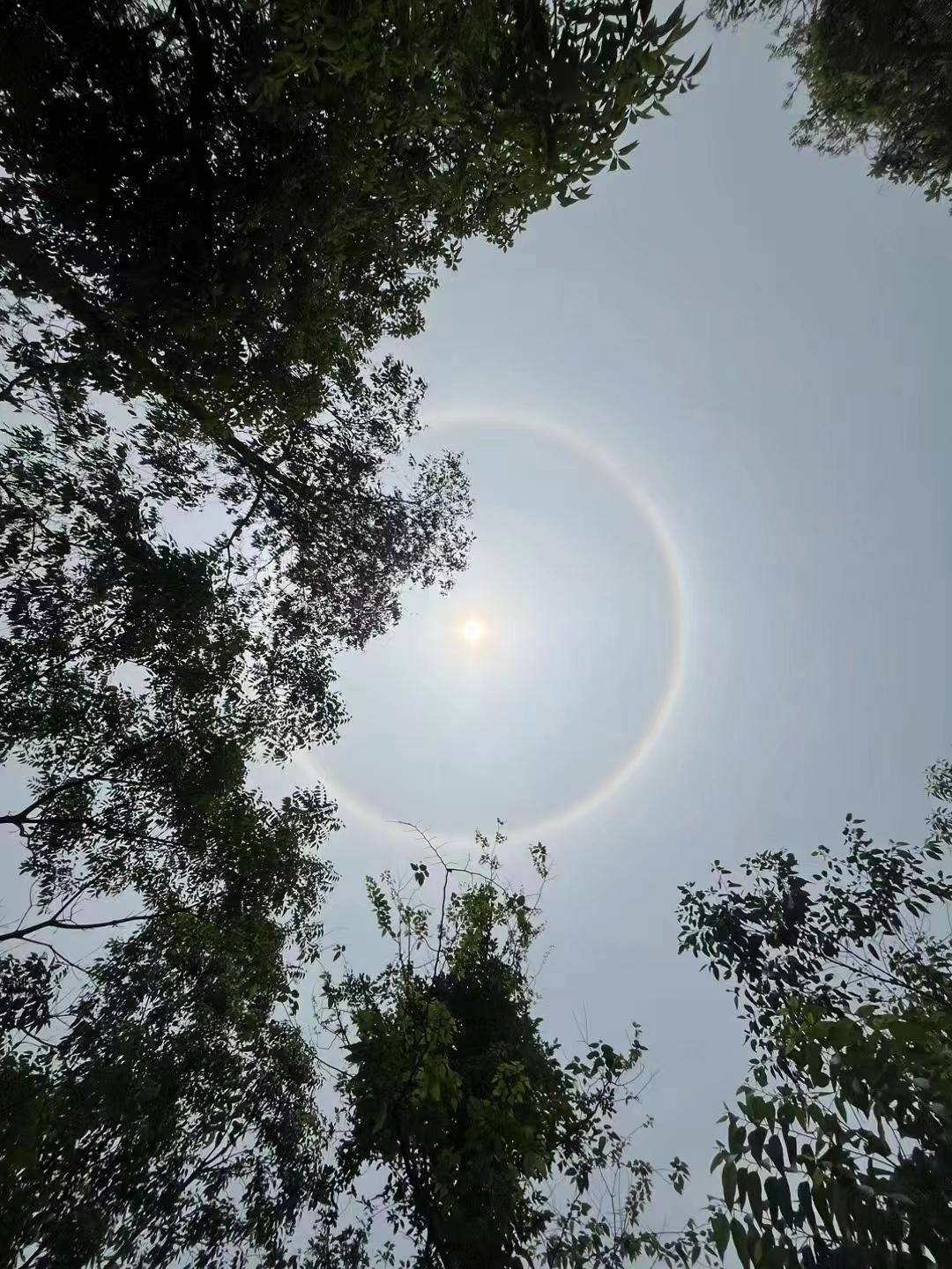 今天这组照片在东莞朋友圈刷屏
