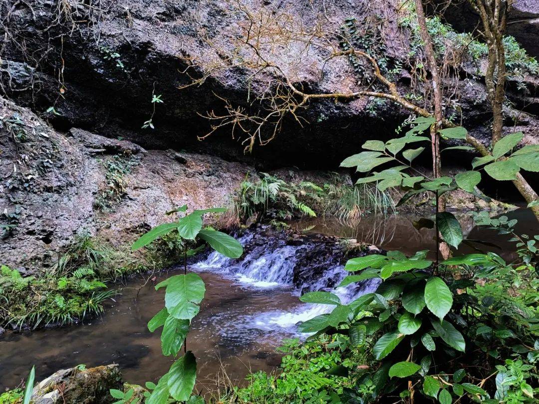早餐后,游览世界地质公园的样板景区——【寨下大峡谷】,游览悬天峡