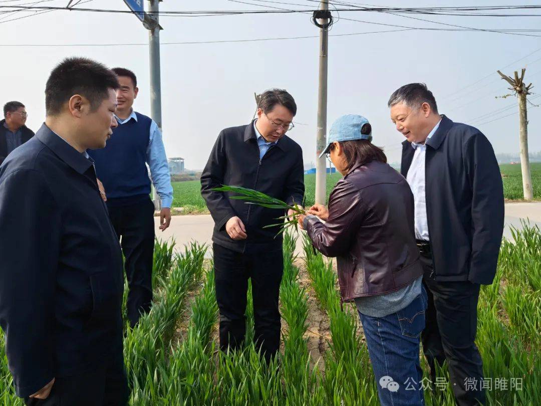 睢阳要闻区长李长东调研农村人居环境和春季麦田管理工作