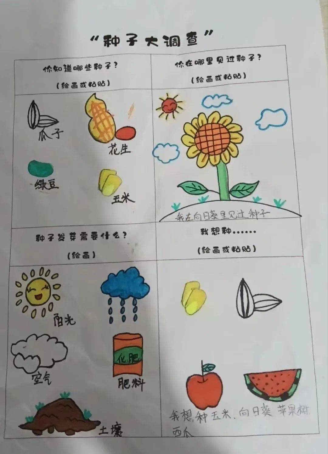 种子调查表怎么画图片