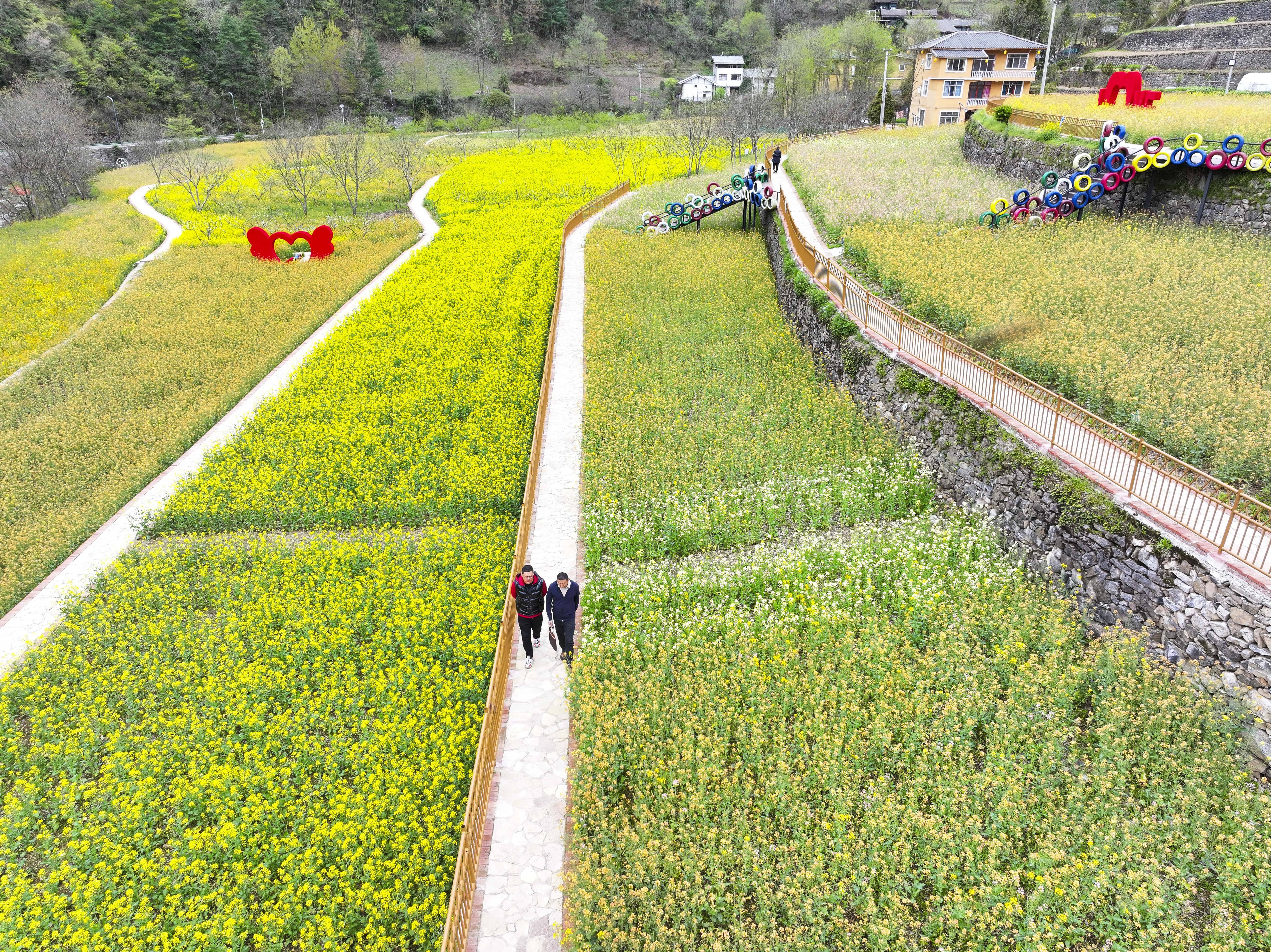 4月9日,何书勤(右)在城口县岚天乡岚溪村调研(无人机照片).