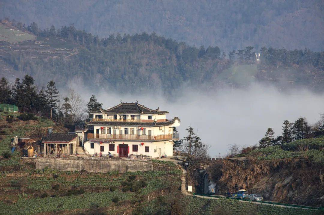 安徽,在下一盘大棋_黄山风景区_旅游_门票