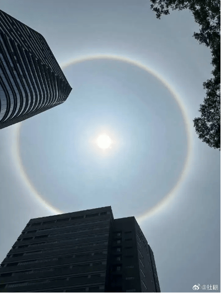 深圳上空出现日晕太阳旁边有一圈光环耀眼又漂亮