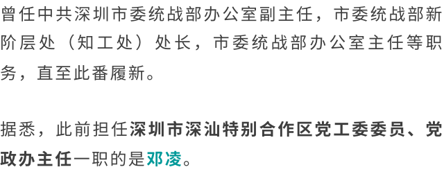杨磊.图源:深圳市深汕特别合作区官网图源:深圳市深汕特别合作区官网