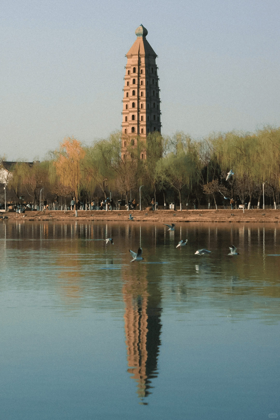 银川市内免费景点大全图片