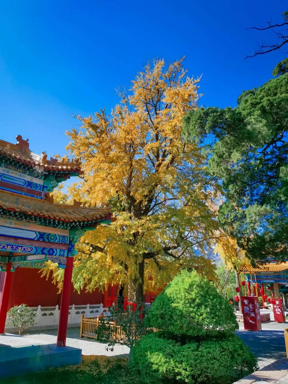 五镇之首沂山山川有灵气风雨东镇庙