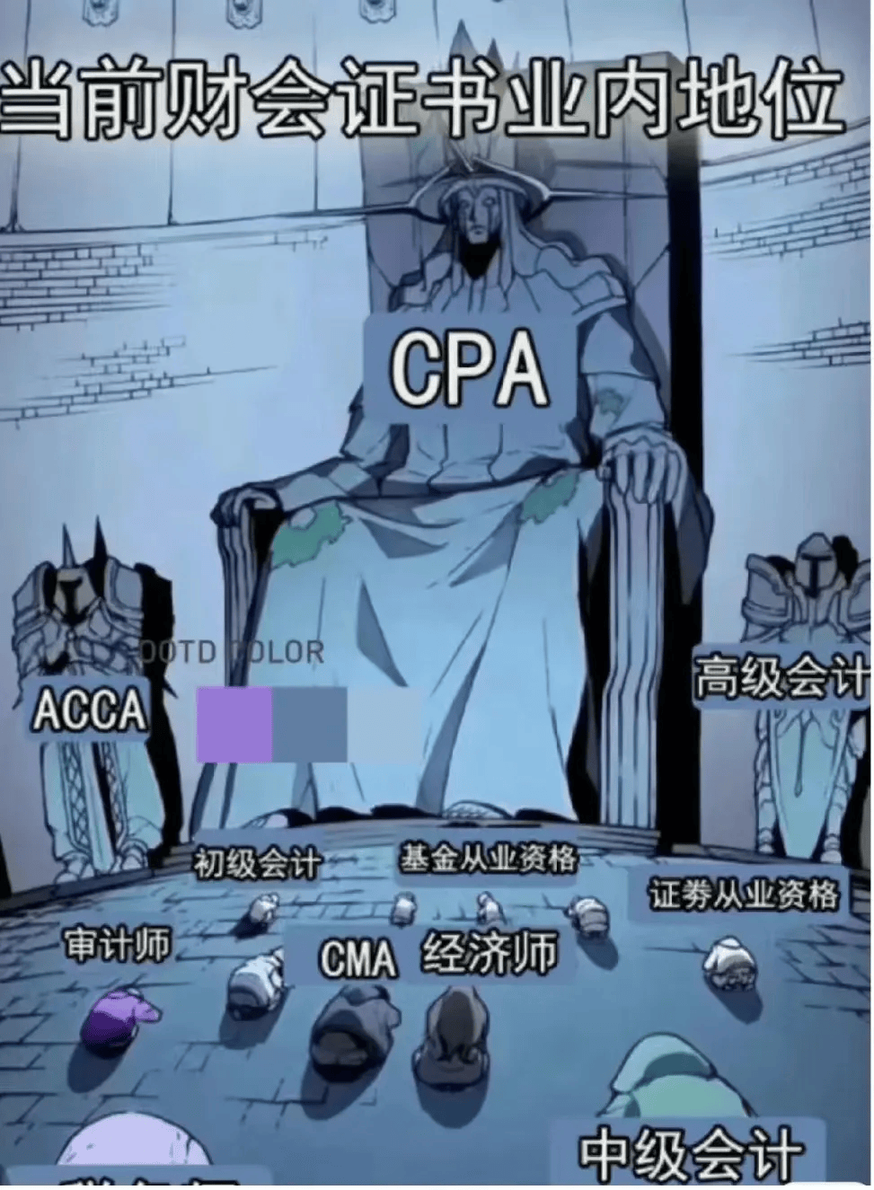 和升职加薪挂钩,不考都不行09初会,中会,税务师,高级会计师,acca