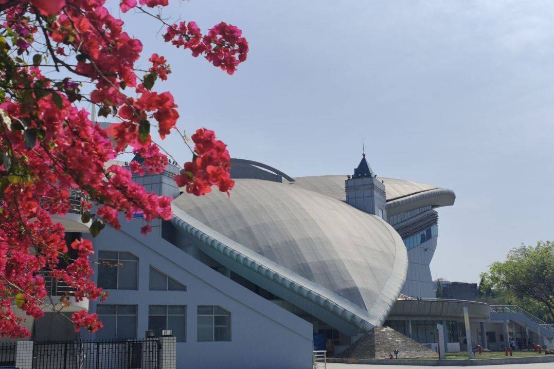 权威发布四川大学2024年强基计划招生简章