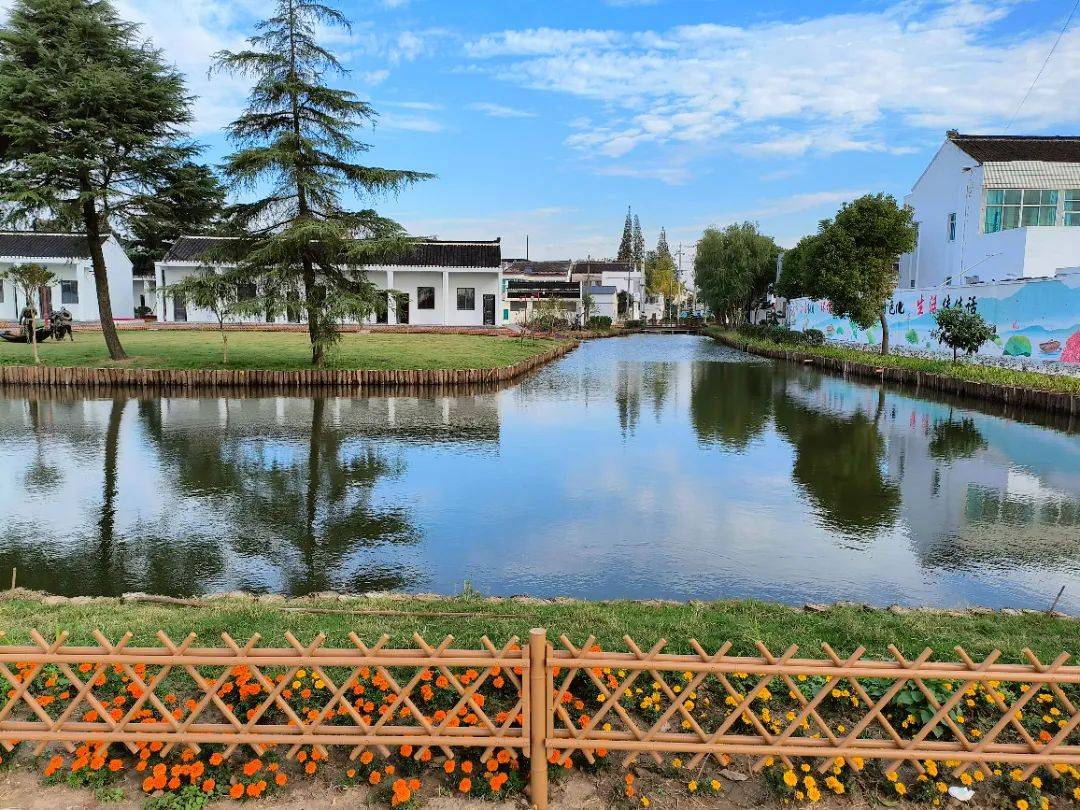 一线掠影丨靖江市东兴镇:凝心聚力推进全域整治 常治长新绘就和美新颜